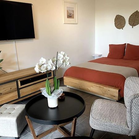Grand Studio Avec Coin Nuit, Proche Mer Et Montagnes Roquebrune-sur-Argens Exterior foto